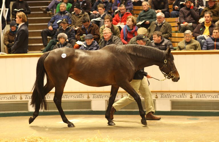 Newsells Park Studs Hazariya bringt 2 Millionen Guineas