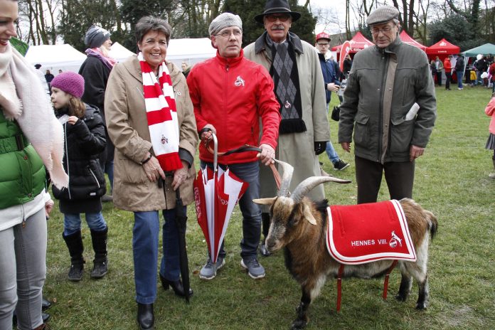hennes