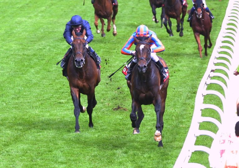 Derby-Sieger High Chaparral eingegangen