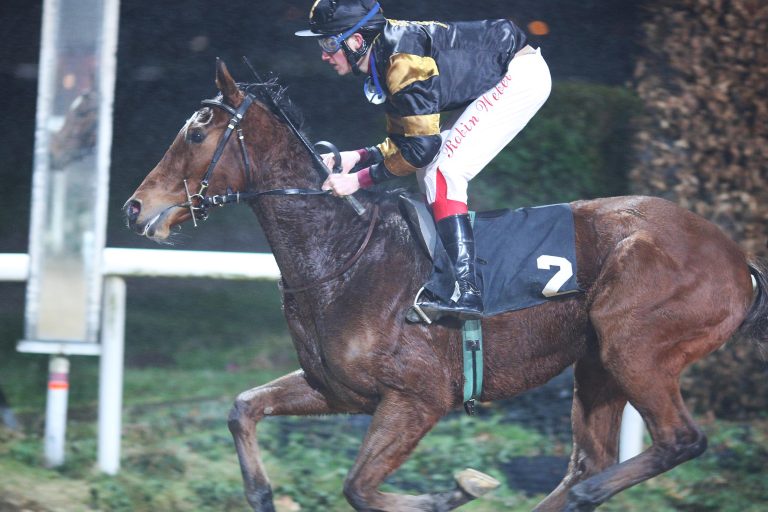 Danse Rouge, Highly Favoured und Totoschocker