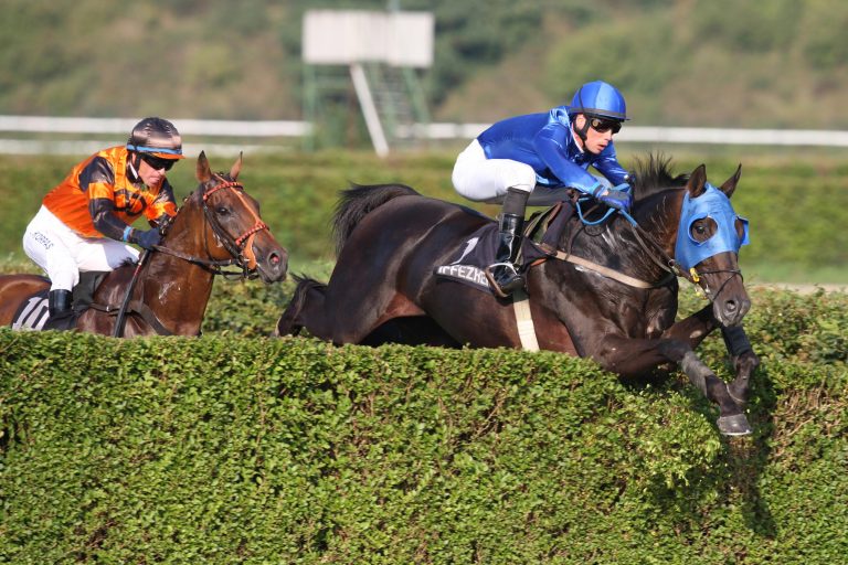 Außenseiter In Love gewinnt Grand Prix de Pau