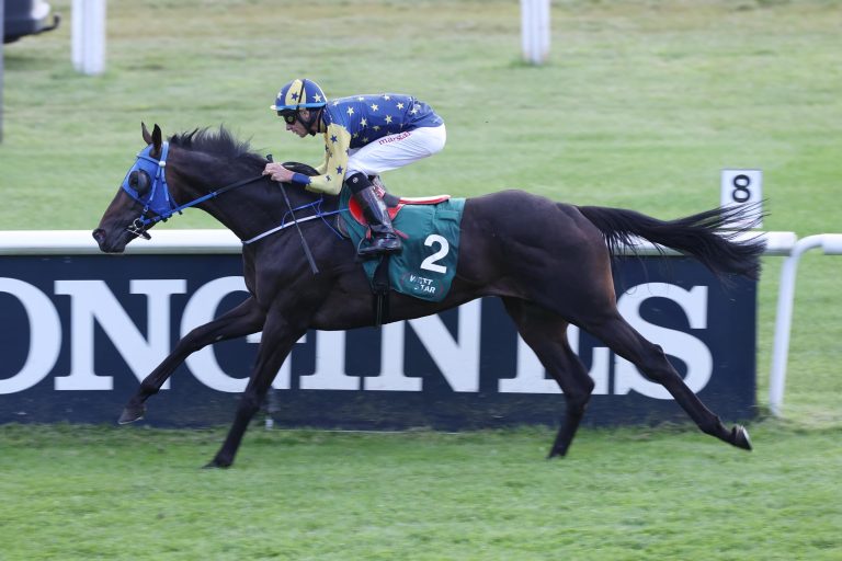 Ungefährdeter Sieger: Hipop de Loire