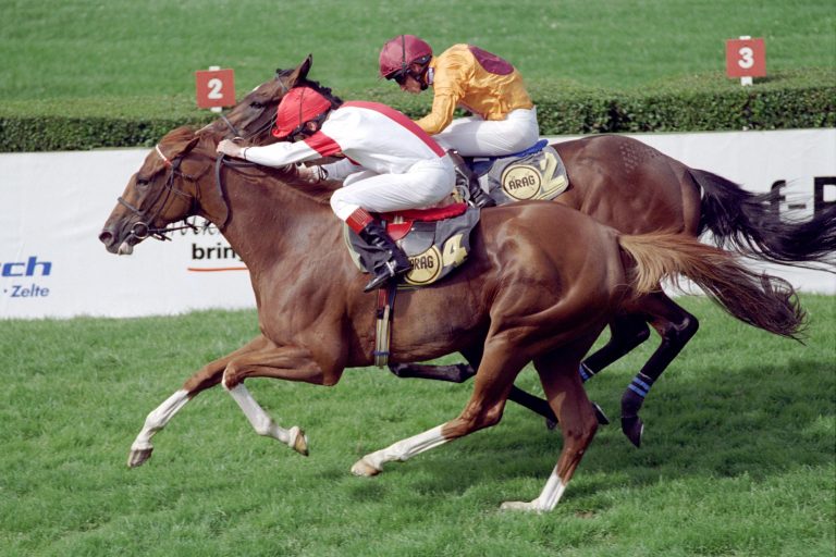 Video zum Genießen: Hollywood Dream 1996