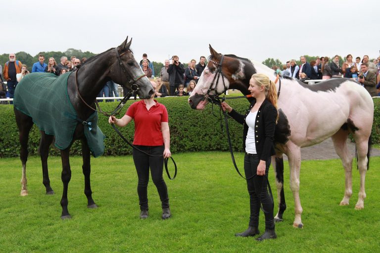 Ganz stark: Holy Moly Zweite in Deauville!