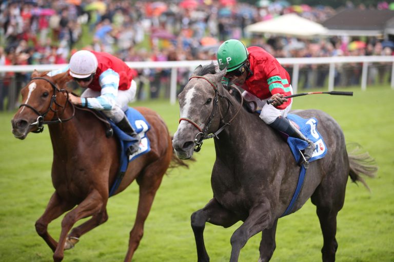 Kampf-Erfolg! Holy Moly auch auf Listen-Parkett top