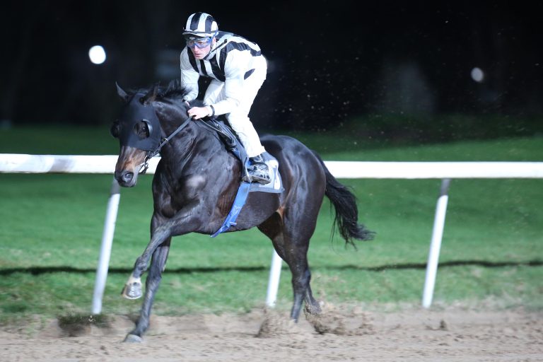 Home Please entpuppt sich als Sandbahn-Spezialist