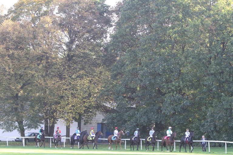 Caspar Fownes ist Champion-Trainer