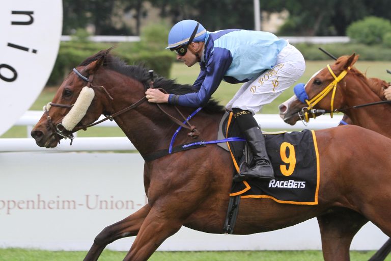 Sehr guter  Besuch und Nienstädt-Mumm