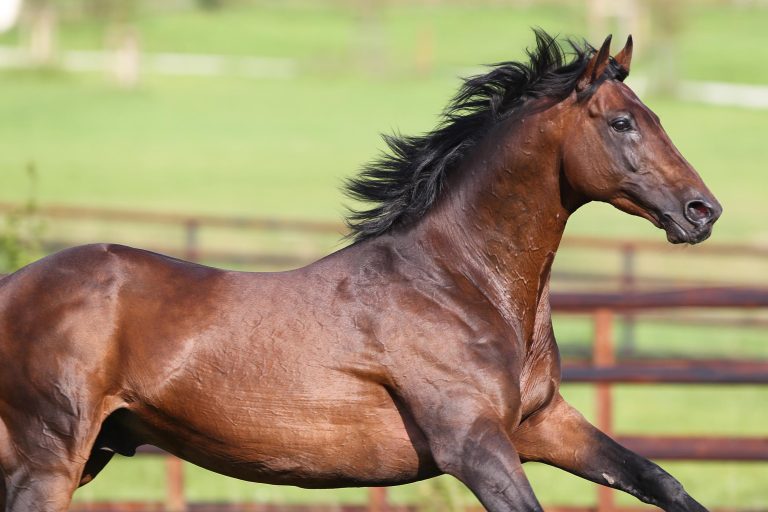 Hurricane Run nach Routine OP eingegangen