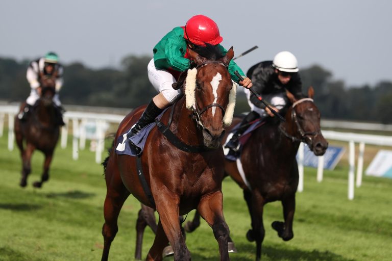 Nächste Stolberg-Generation: Idolo top in Leipzig