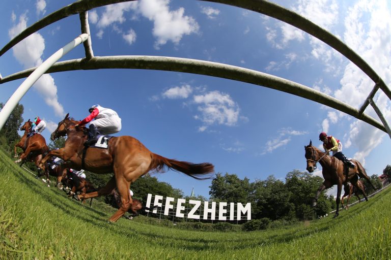 Regelungen für Besitzer und Besitzergemeinschaften bei der Grossen Woche