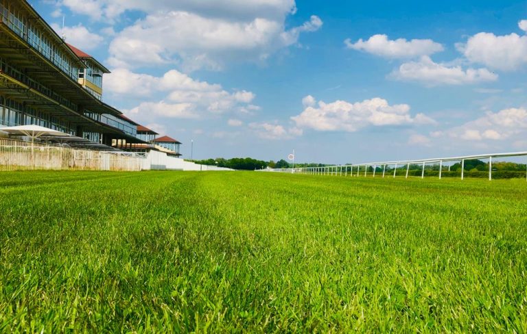 Der letzte Meetingstag im Wett-Check