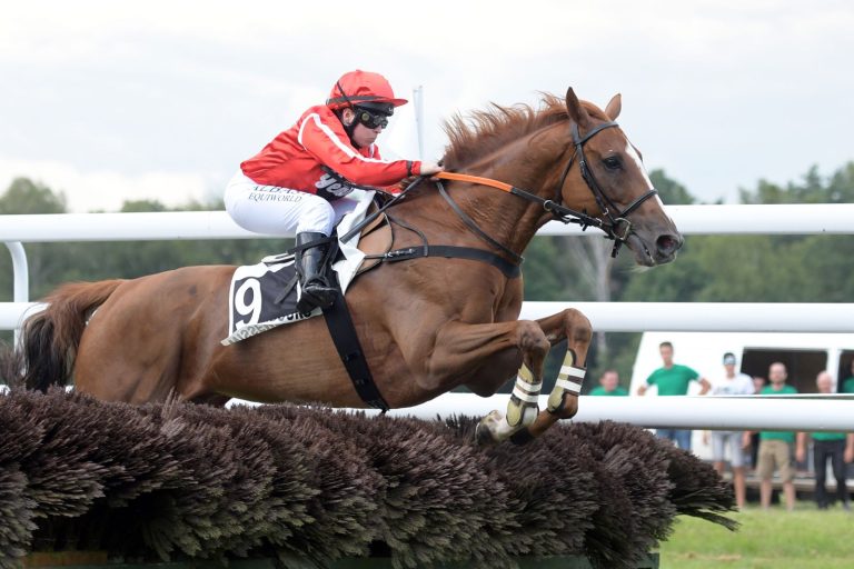 Steffi Koyuncu siegt über Sprünge, 5 deutsche Treffer