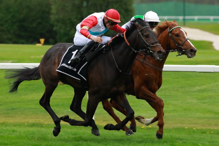 Imi siegt gegen Mendocino (Archiv)