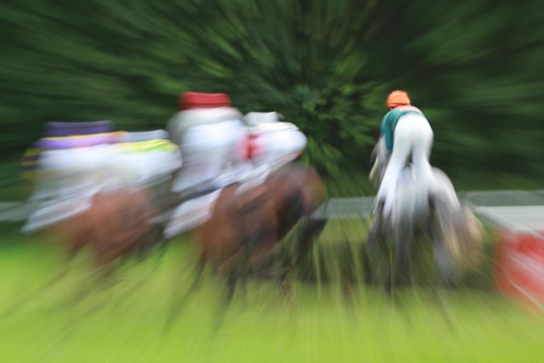 Der große Jahresrückblick