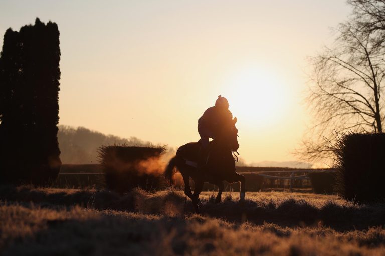 Sport-Welt Stallparade 2026 – 54 Quartiere schon dabei