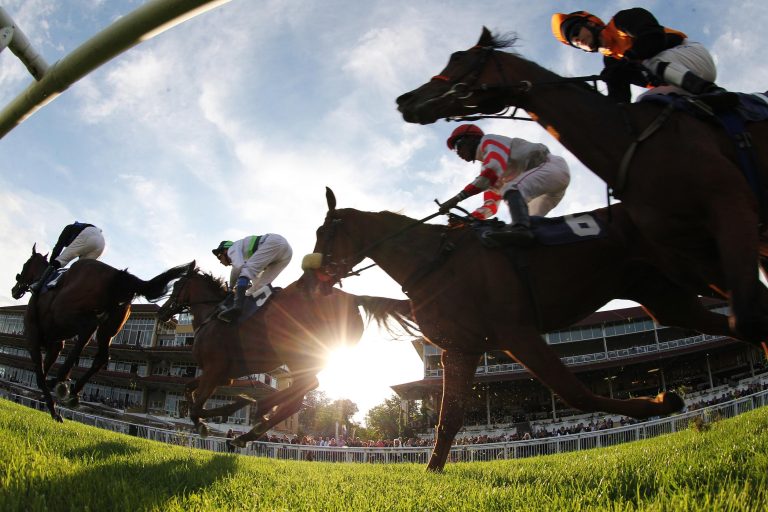 Magnier kauft American Pharoah-Jährling