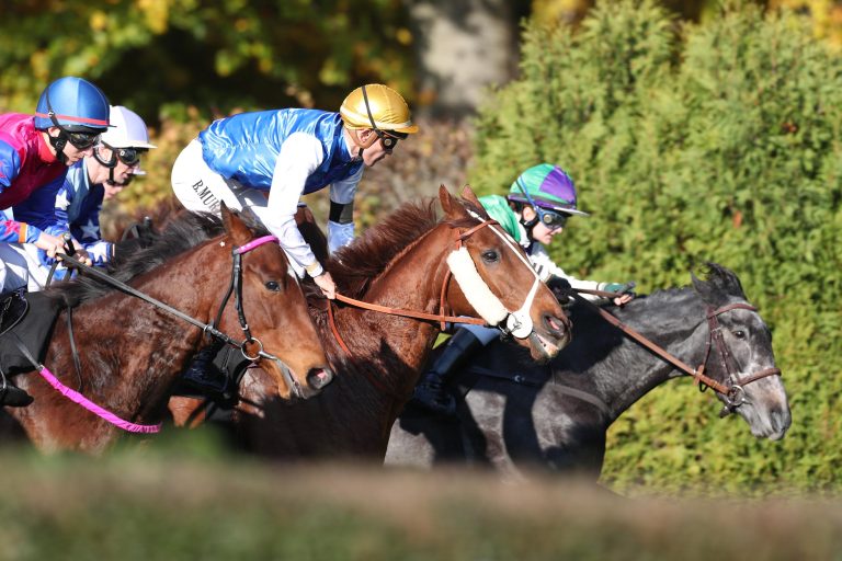 8 Uhr – nicht verpassen: Der Newsletter Aufgalopp kommt!