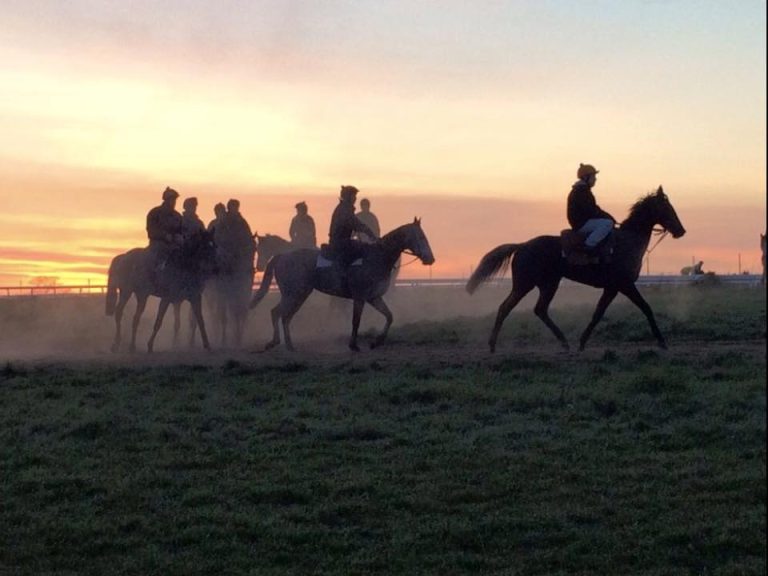Schon morgens neugierig auf Galopp aus aller Welt?