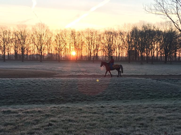 Mit einem „Aufgalopp“ in den Tag starten
