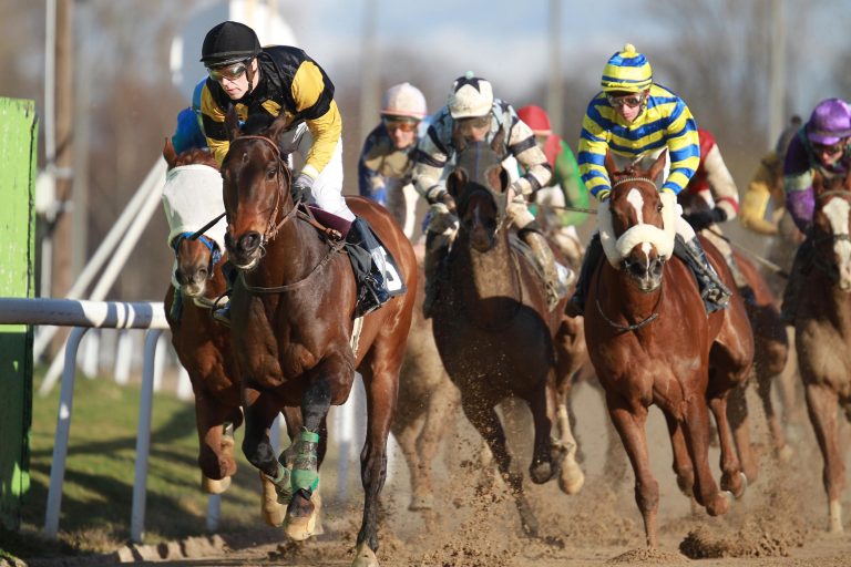 Dortmunder Renntag: Nennungen werden benötigt!!