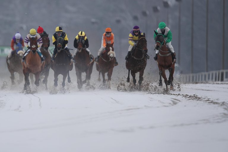 Pferderennen bleiben weiter zulässig