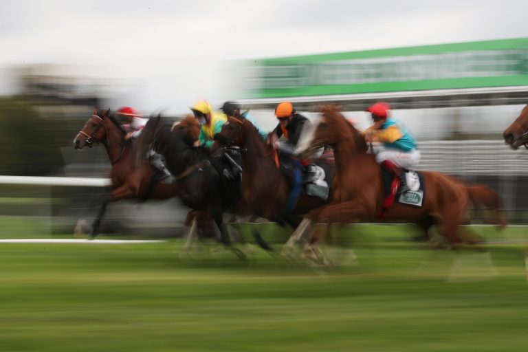 Deutscher Galopp sucht Funktionärsnachwuchs