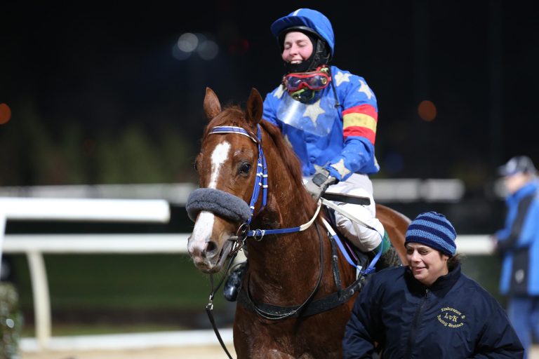 Mix aus Galopp und Trab im Herrenkrug