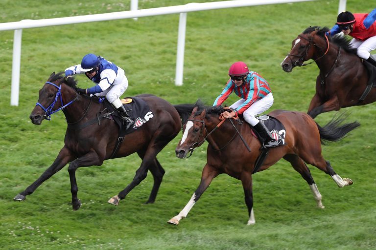 „Du bist doch nicht zum Spazierengehen hier“