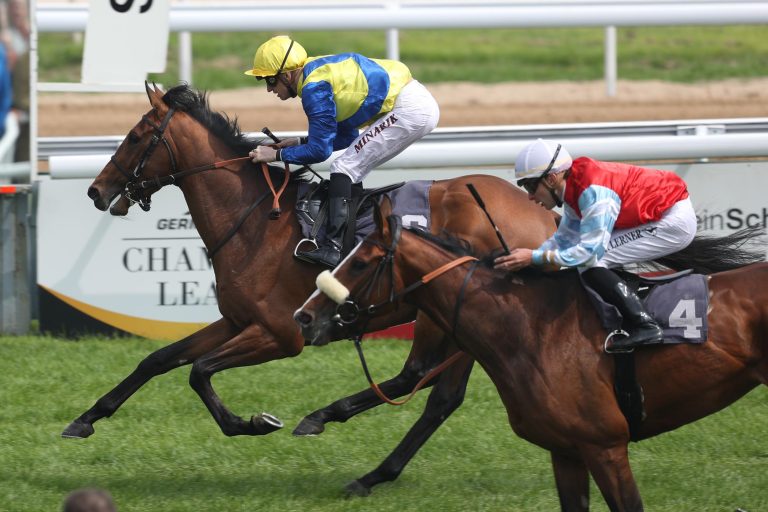 Beeindruckend: Instigator fliegt beim Debüt zum Sieg