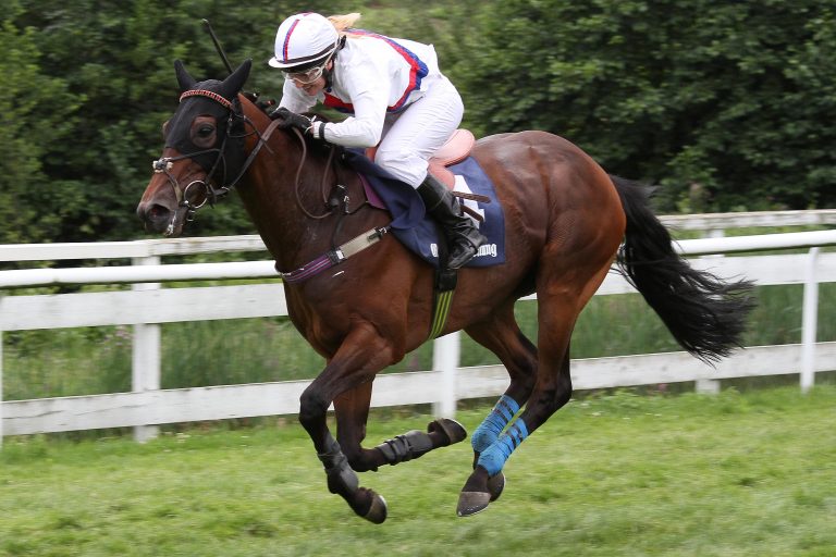 Gibt es den Hattrick in Quakenbrück?
