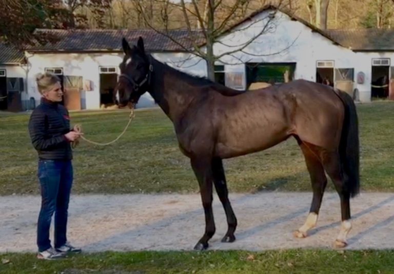 Iquitos-Schwester startet in Auteuil