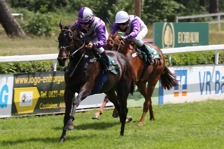 Interstella (Archiv)