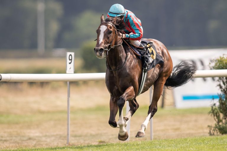 Dreamteam Bojko und Invincible Really, Paulick top