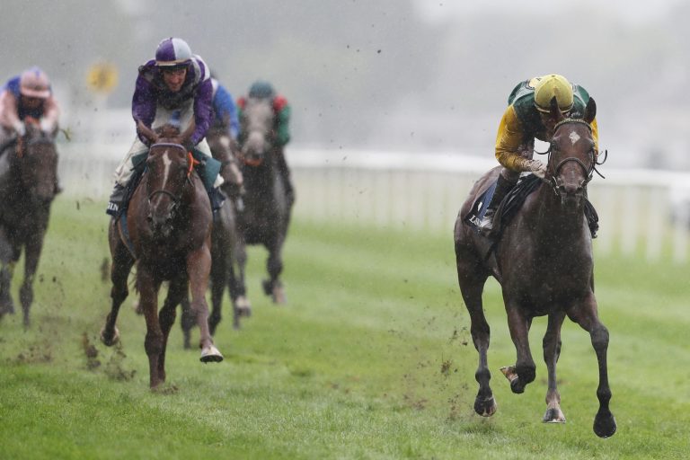 Iquitos ist im Gestüt Ammerland eingetroffen