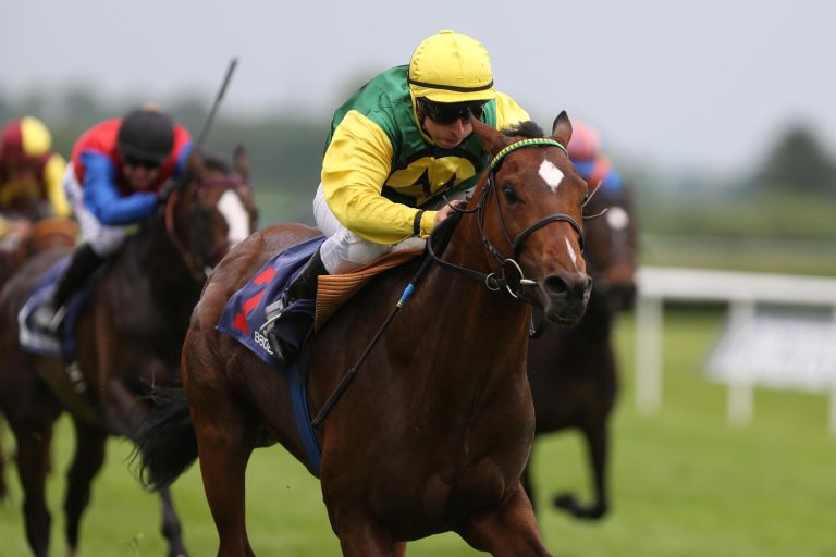 Jahresdebüt vom „Galopper des Jahres“