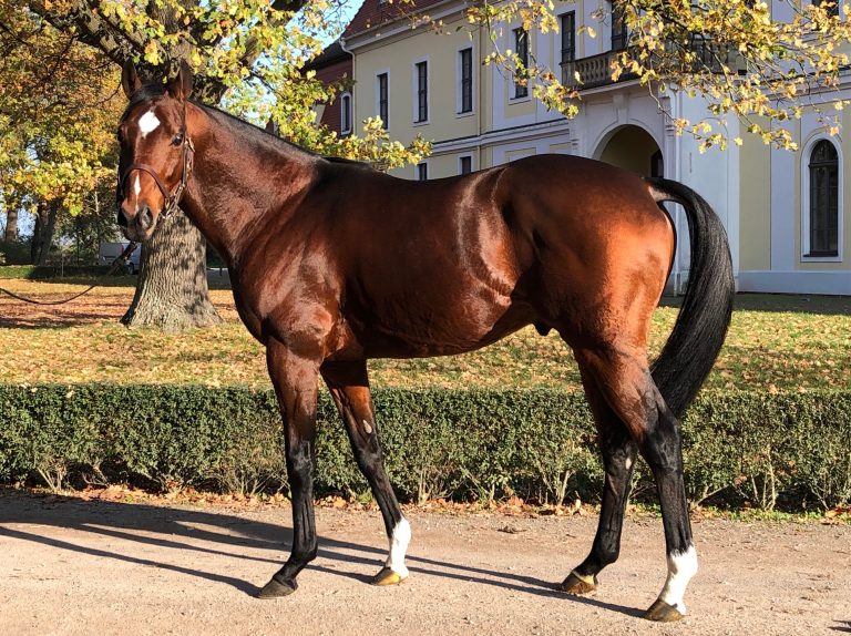Iquitos nach der Ankunft in Graditz