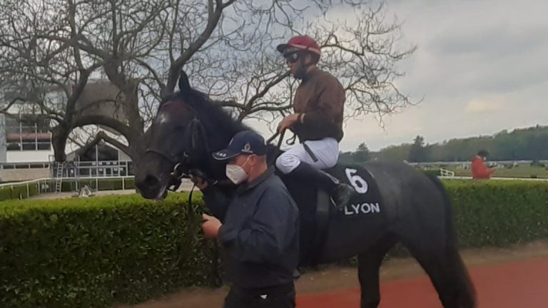 Asterblüte-Dreijähriger Irish Hill punktet in Longchamp