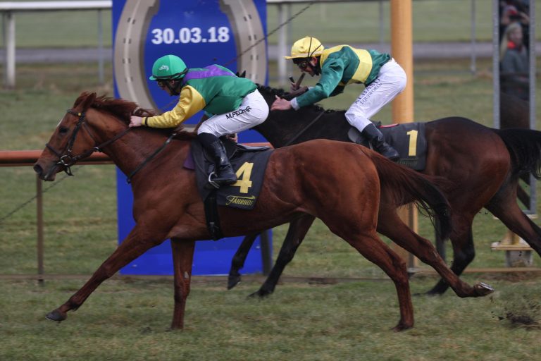 Irish Valley erste Siegerin beim Finale in Bremen