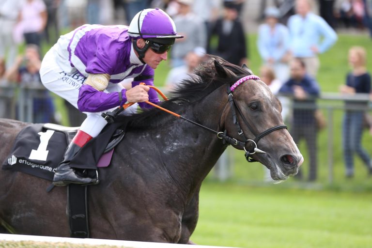 Iron Duke kein Pferd für tiefen Boden