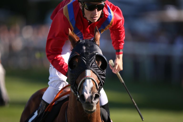 100. Sieg für Weber, Seidl weiter top