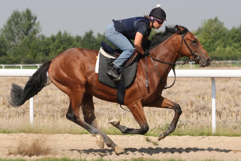 Ex-Schlenderhaner Irving gewinnt erneut Gruppe I