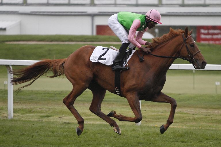 Isfahan wird Deckhengst in Ohlerweiherhof