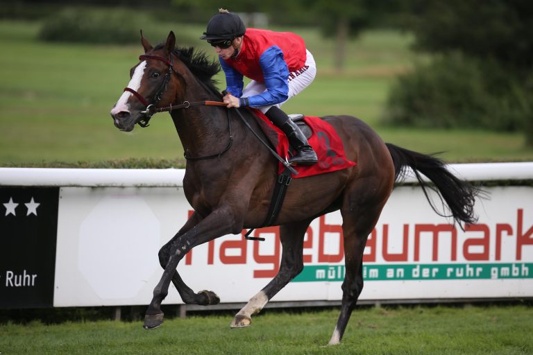 Wild Chief und Ito im Aufgebot für den Prix Ganay