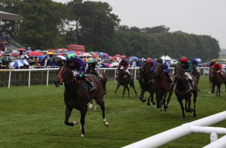 So will Hannon Gleneagles schlagen