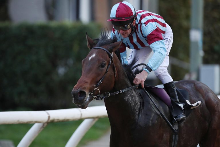 Jaimie’s Venture mit Speed  – Tapering mit Kondition