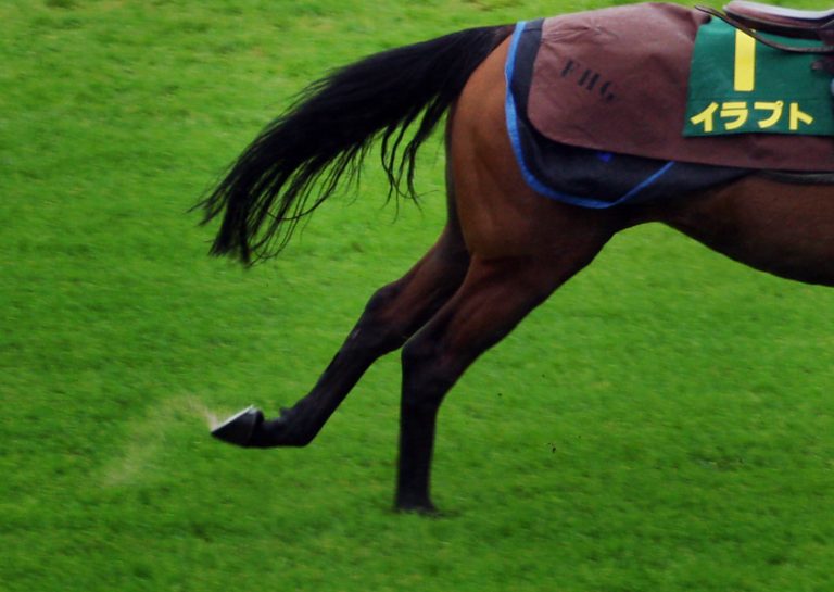 Der Boden in Tokio: Weich nicht zu erwarten