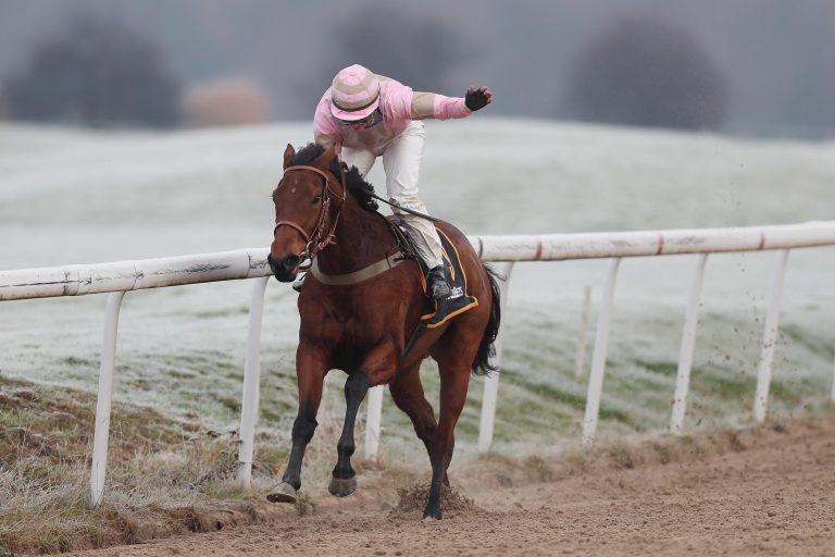Premieren-Sieg für Romy van der Meulen