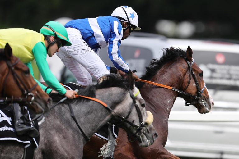 Jimmu Halbschwester bei Arqanas Breeze Up Sale