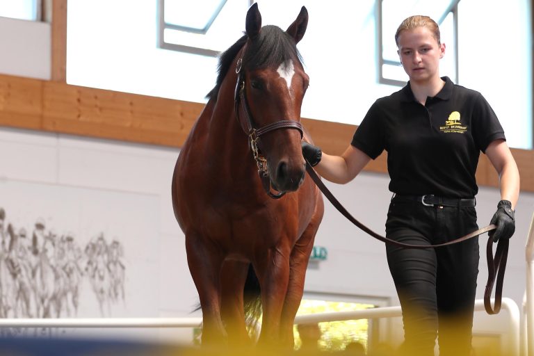 Kampf bis zur Linie – Juanito ringt Kir Royal nieder